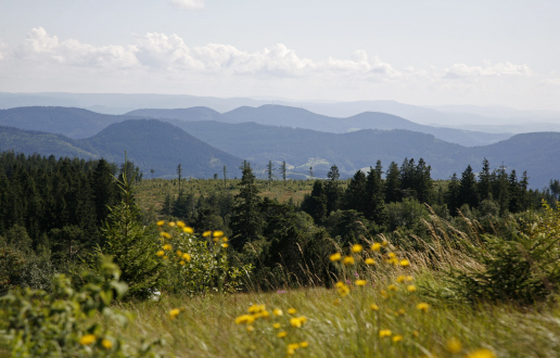 Heilklimatischer Kurort Baiersbronn Obertal 5